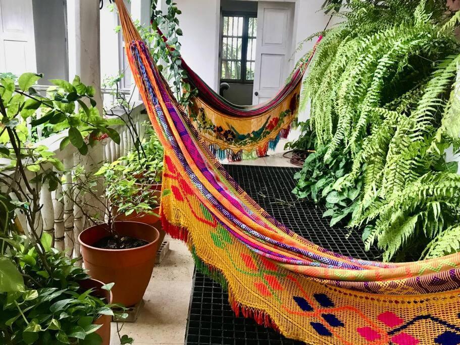 Casa Vargas, Hermosa Con Piscina. *